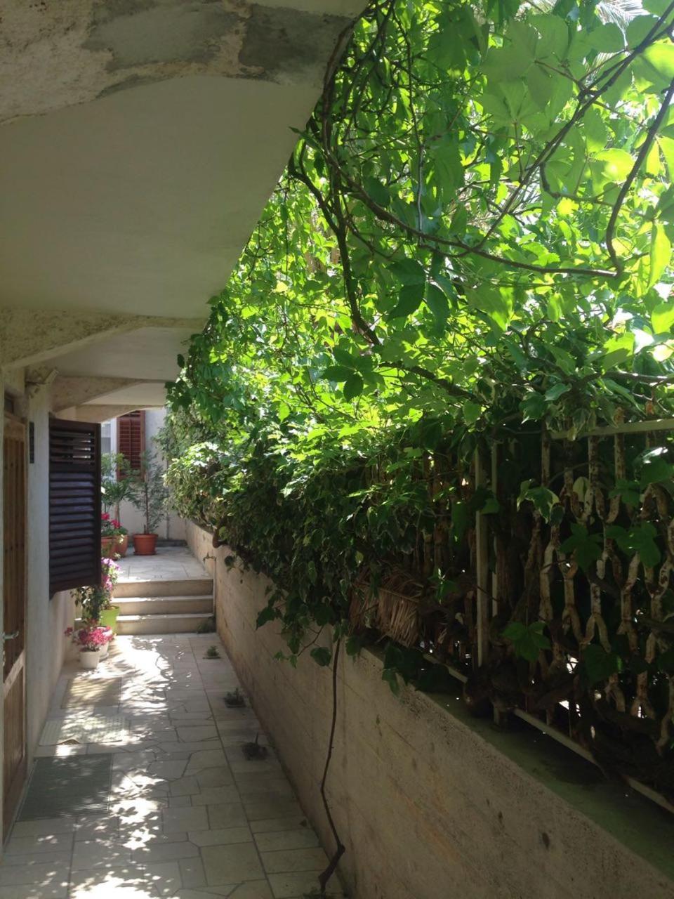 Happy Dubrovnik Centre-Free Parking公寓 外观 照片